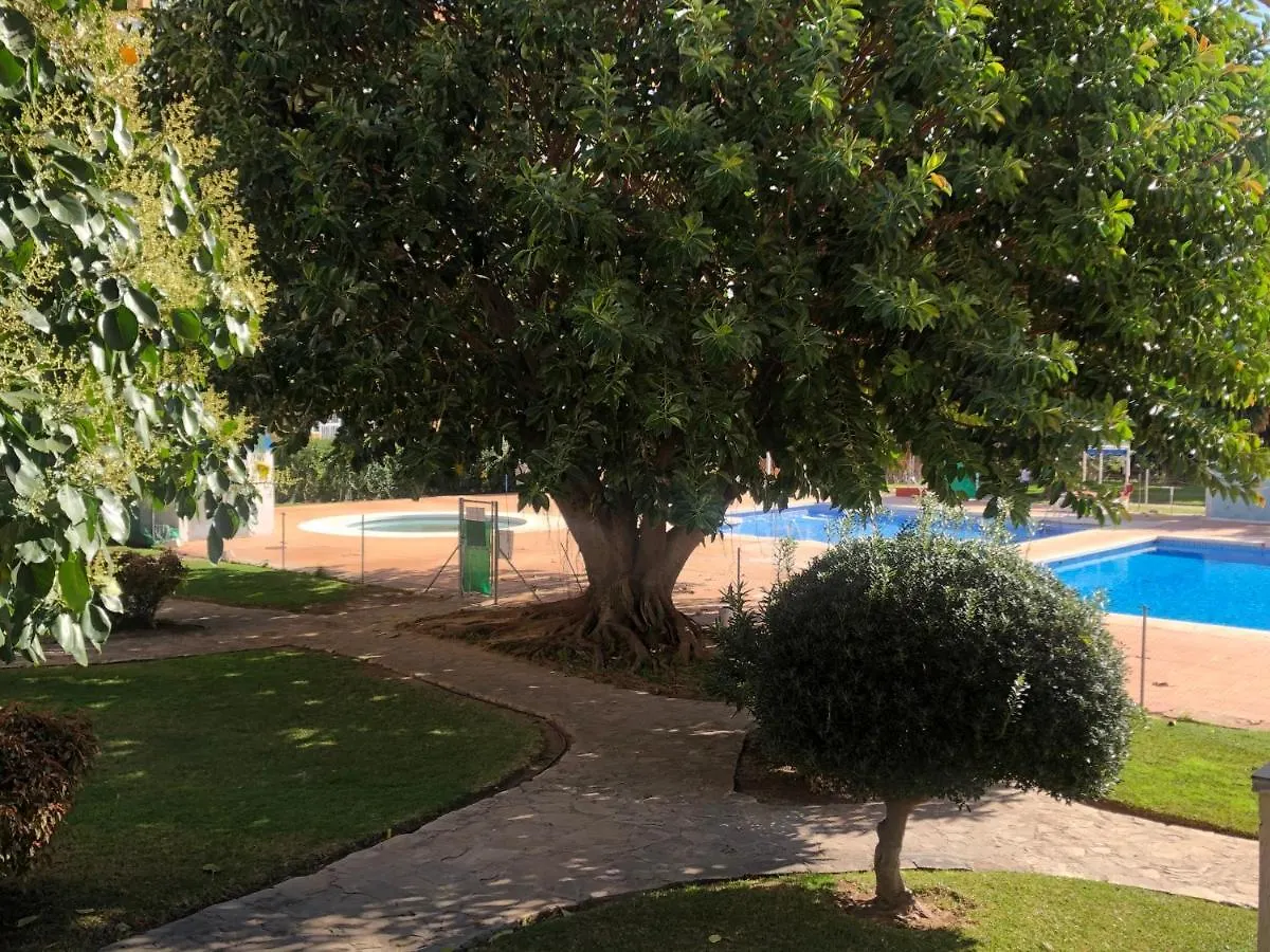 Apartment Estudio Vacacional Benalmadena Playa Spain